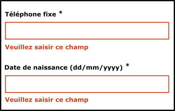 capture d’écran d’un formulaire affichant des messages d’erreur non-valides