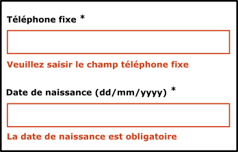 capture d’écran d’un formulaire affichant des messages d’erreur valides